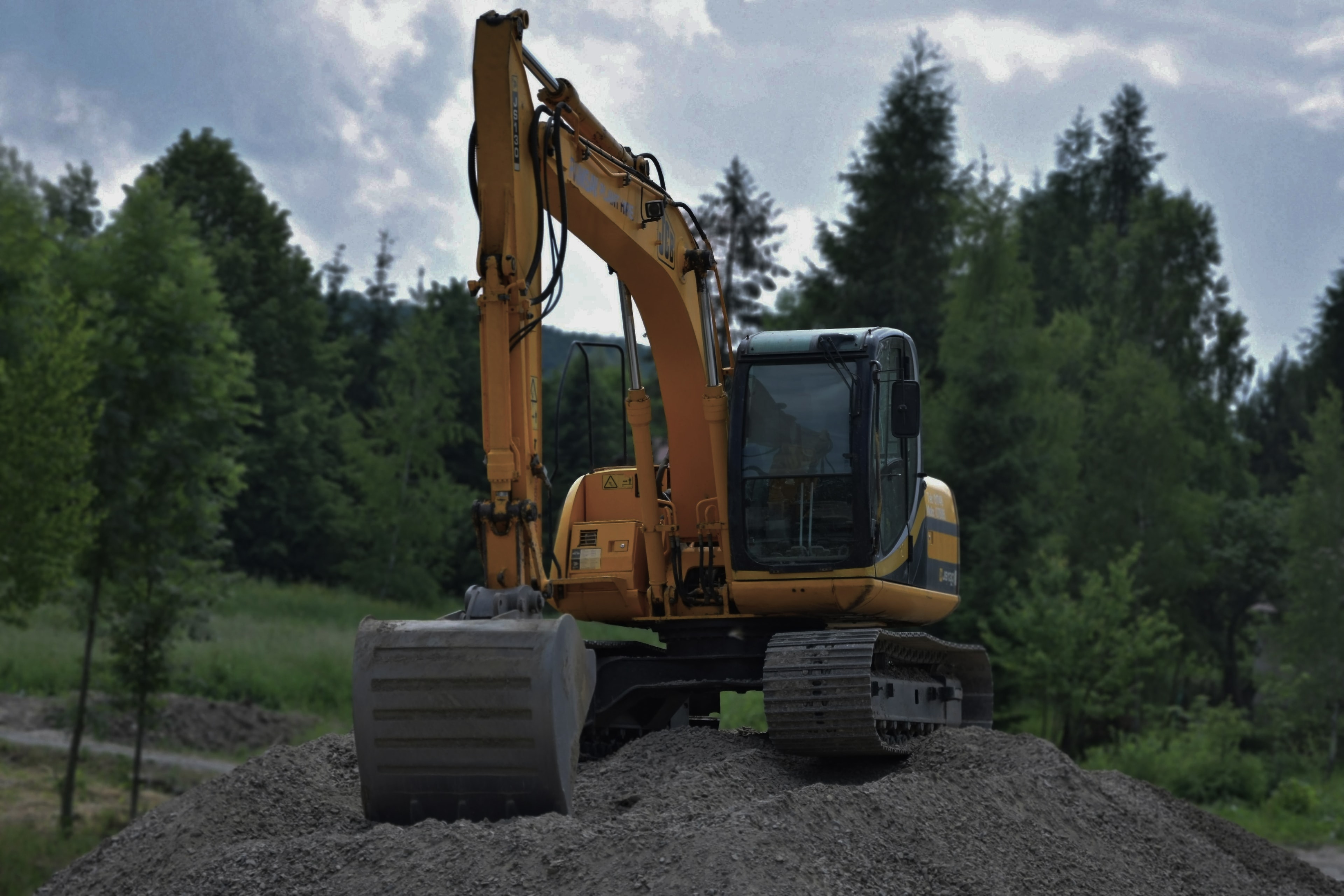 Homegrown Expertise.