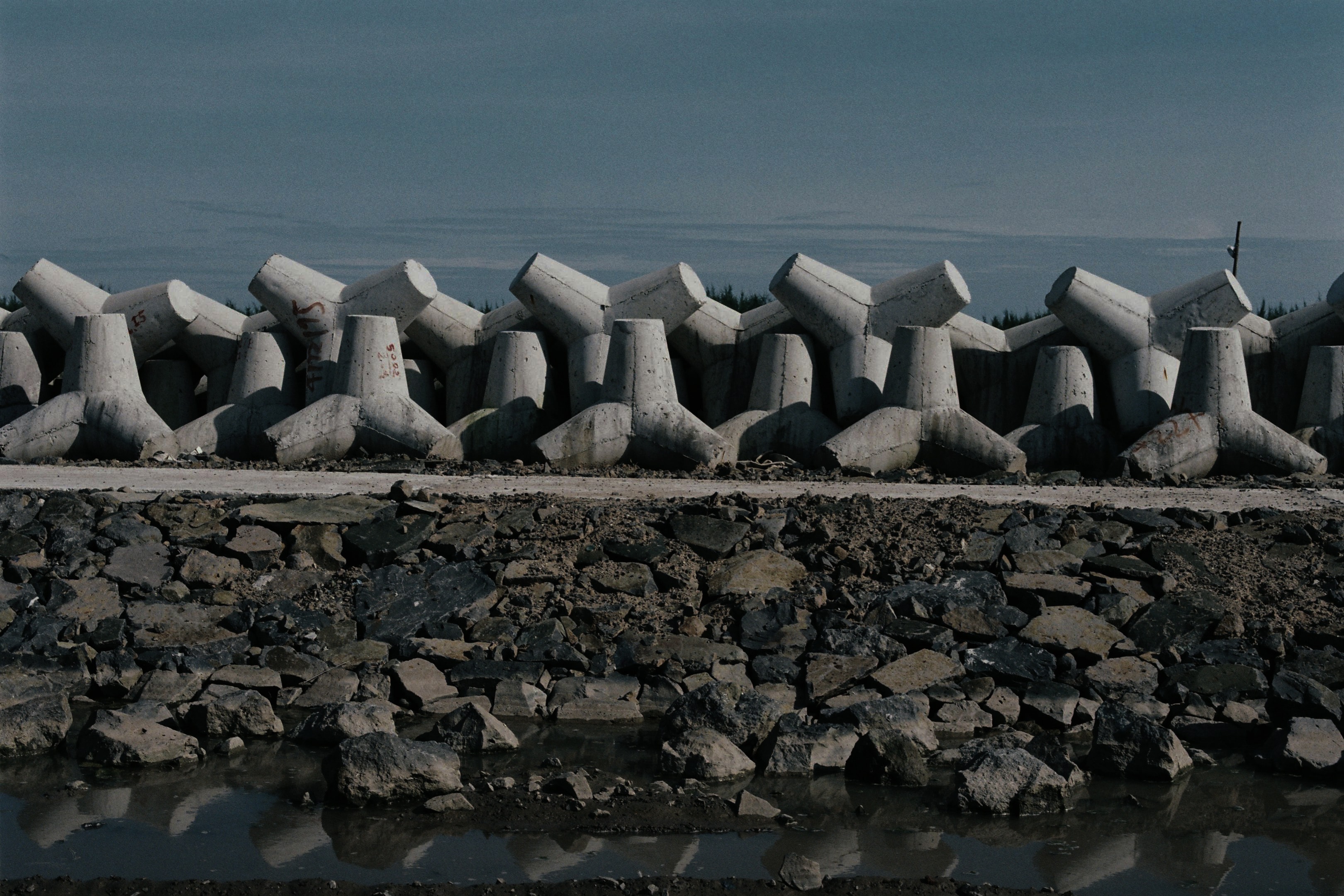 Reliable Partner for